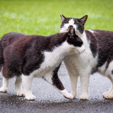 親子愛