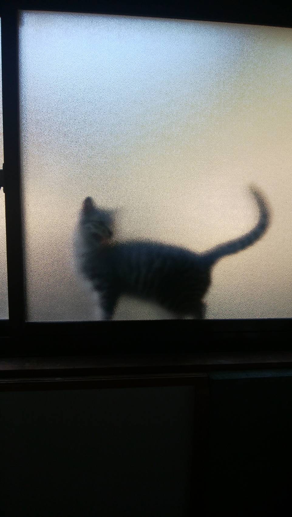 ここにいるよ