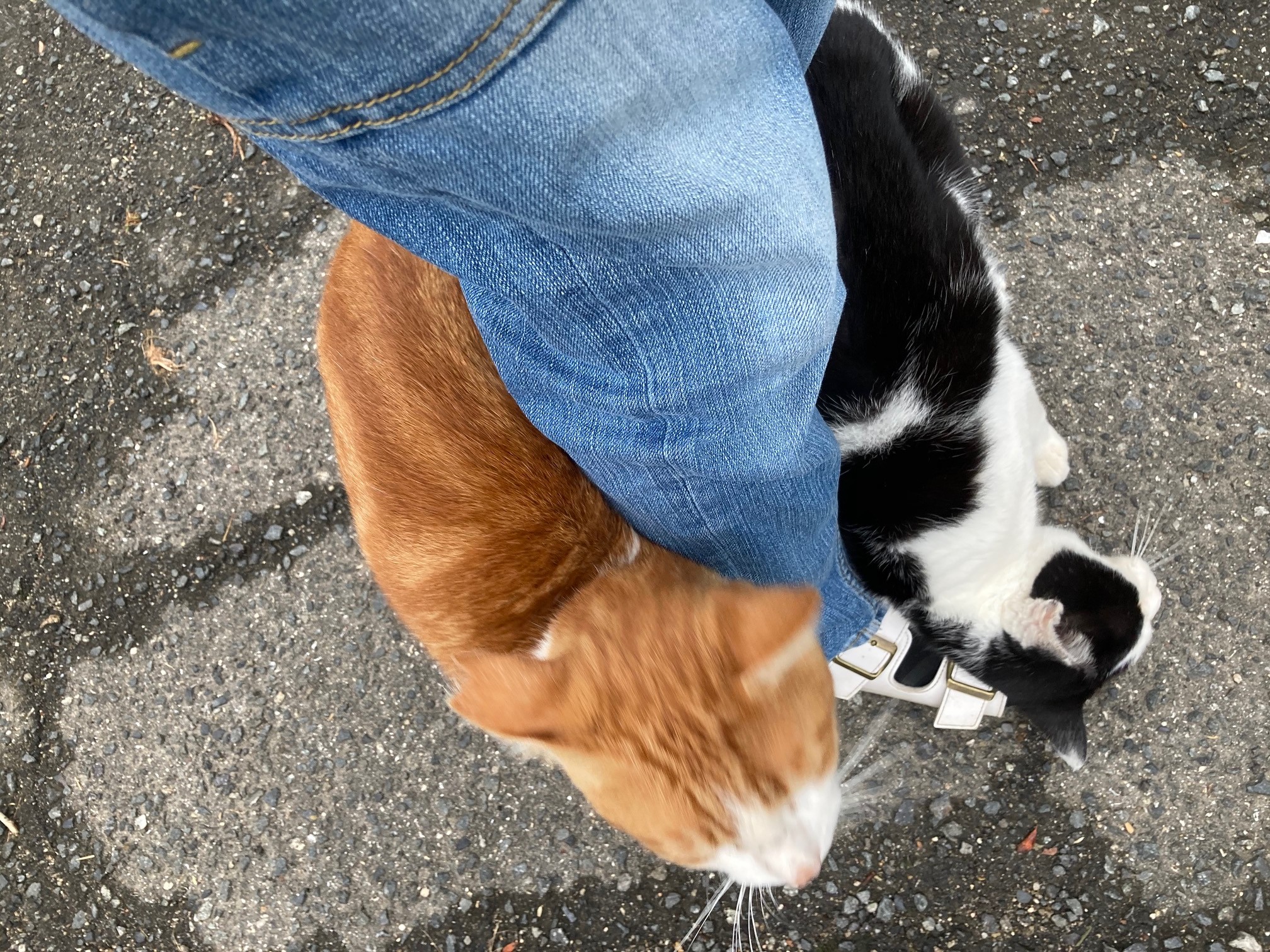歩けないんですけど(;^ω^)