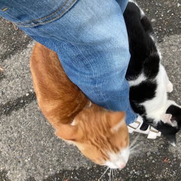 歩けないんですけど(;^ω^)
