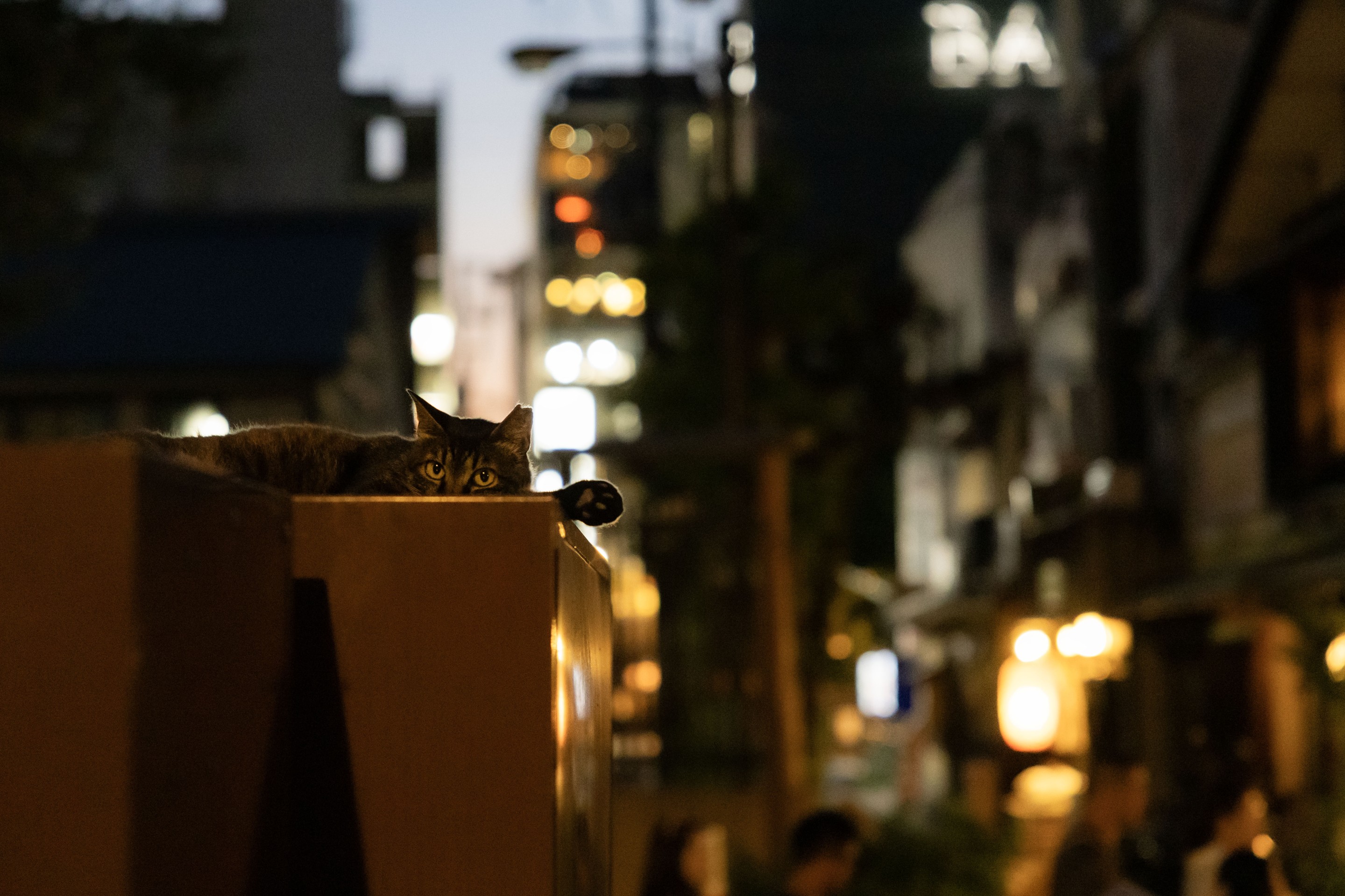 京の夜