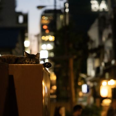 京の夜