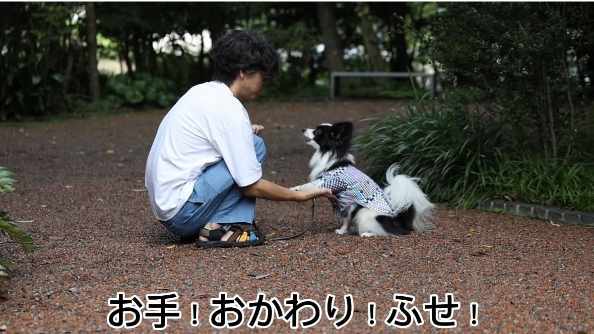 ずっとのお家にきて色々できるようになったよ