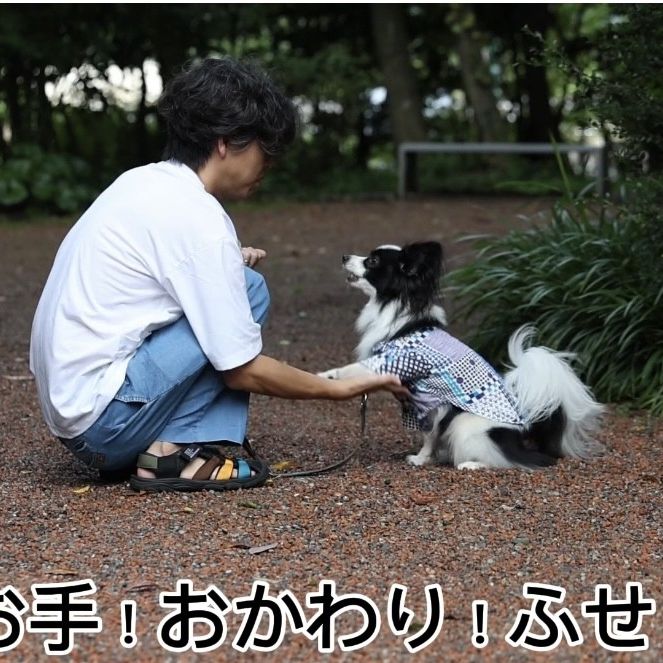 ずっとのお家にきて色々できるようになったよ