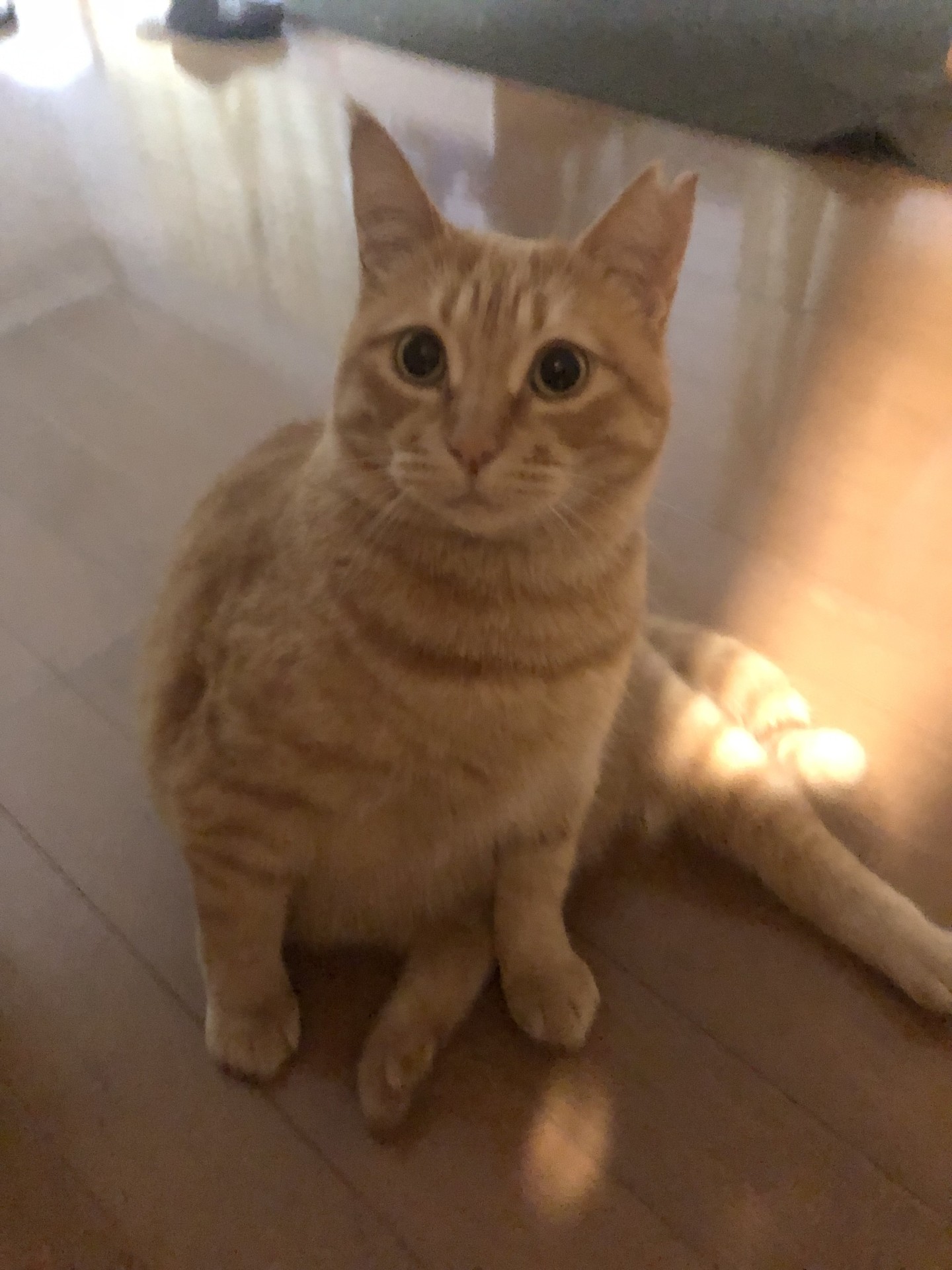 リラックス