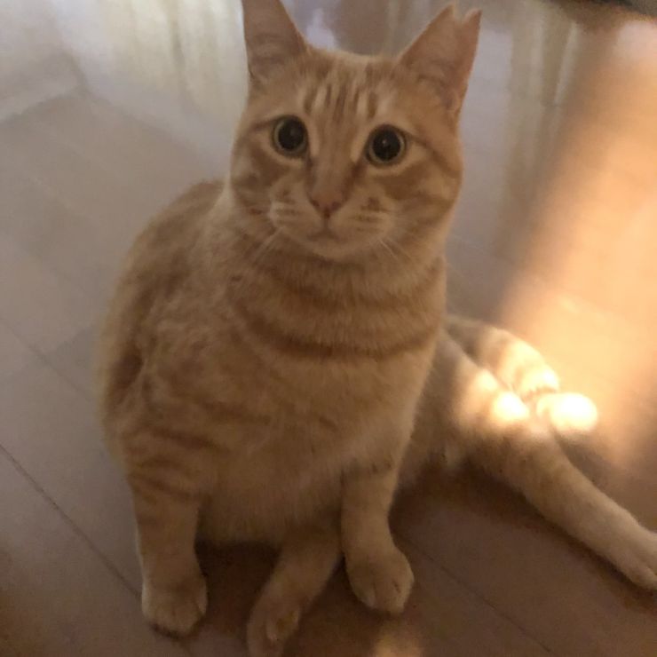 リラックス