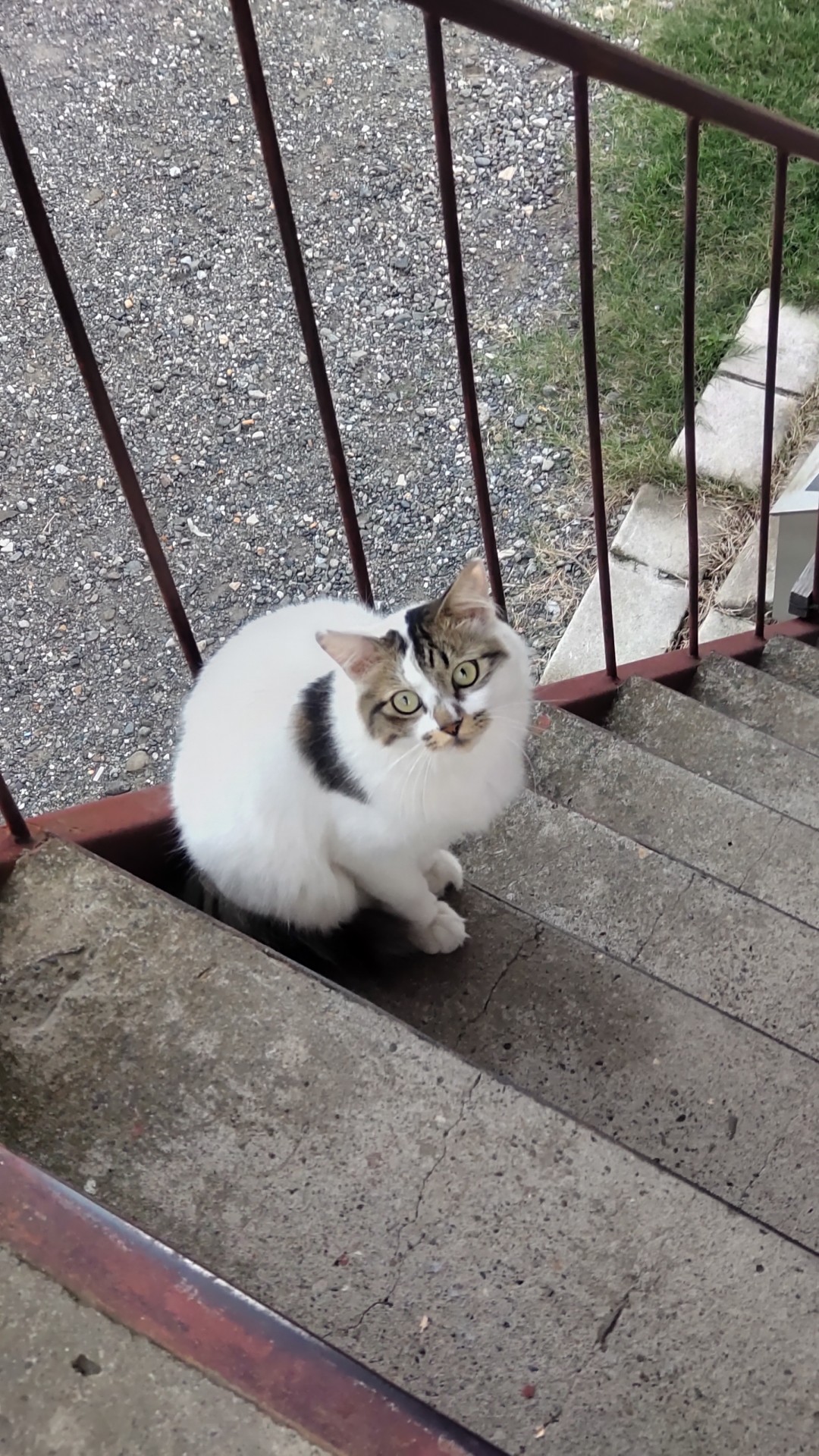 今日も元気。