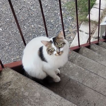 今日も元気。
