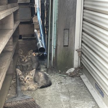 まだあかちゃん