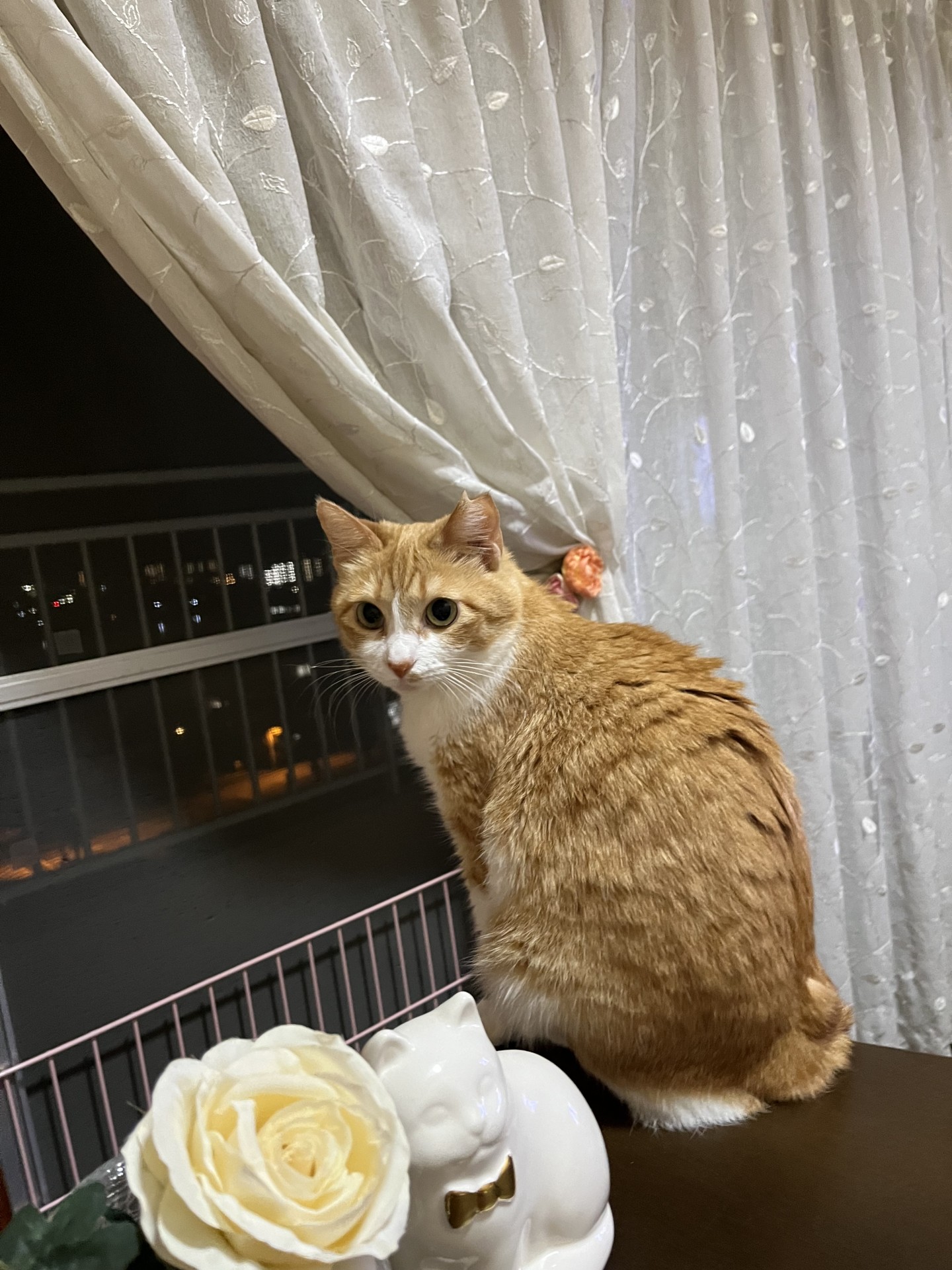 頑張りました！