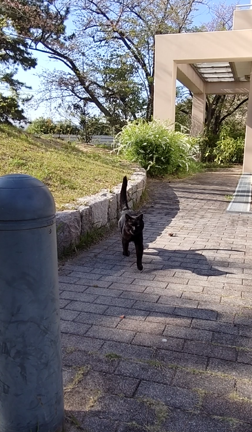 待ってたで!!