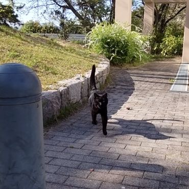 待ってたで!!