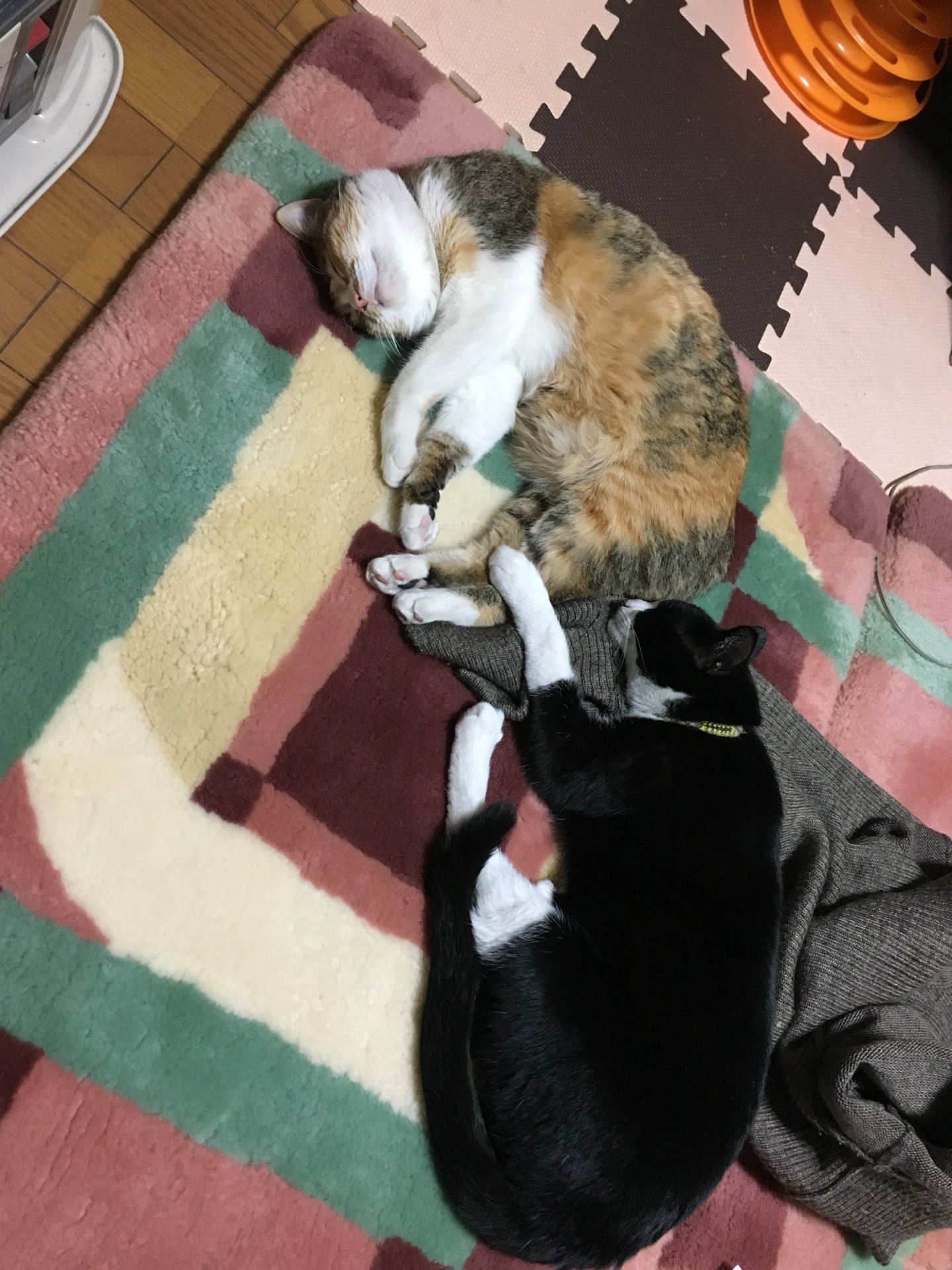 もうちょっと仲良くなりたいな