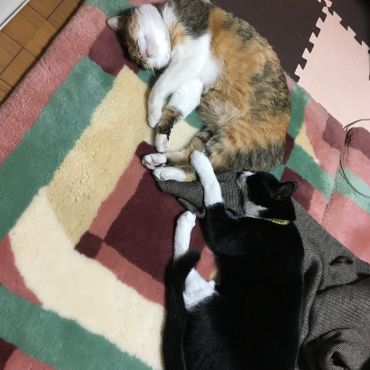 もうちょっと仲良くなりたいな