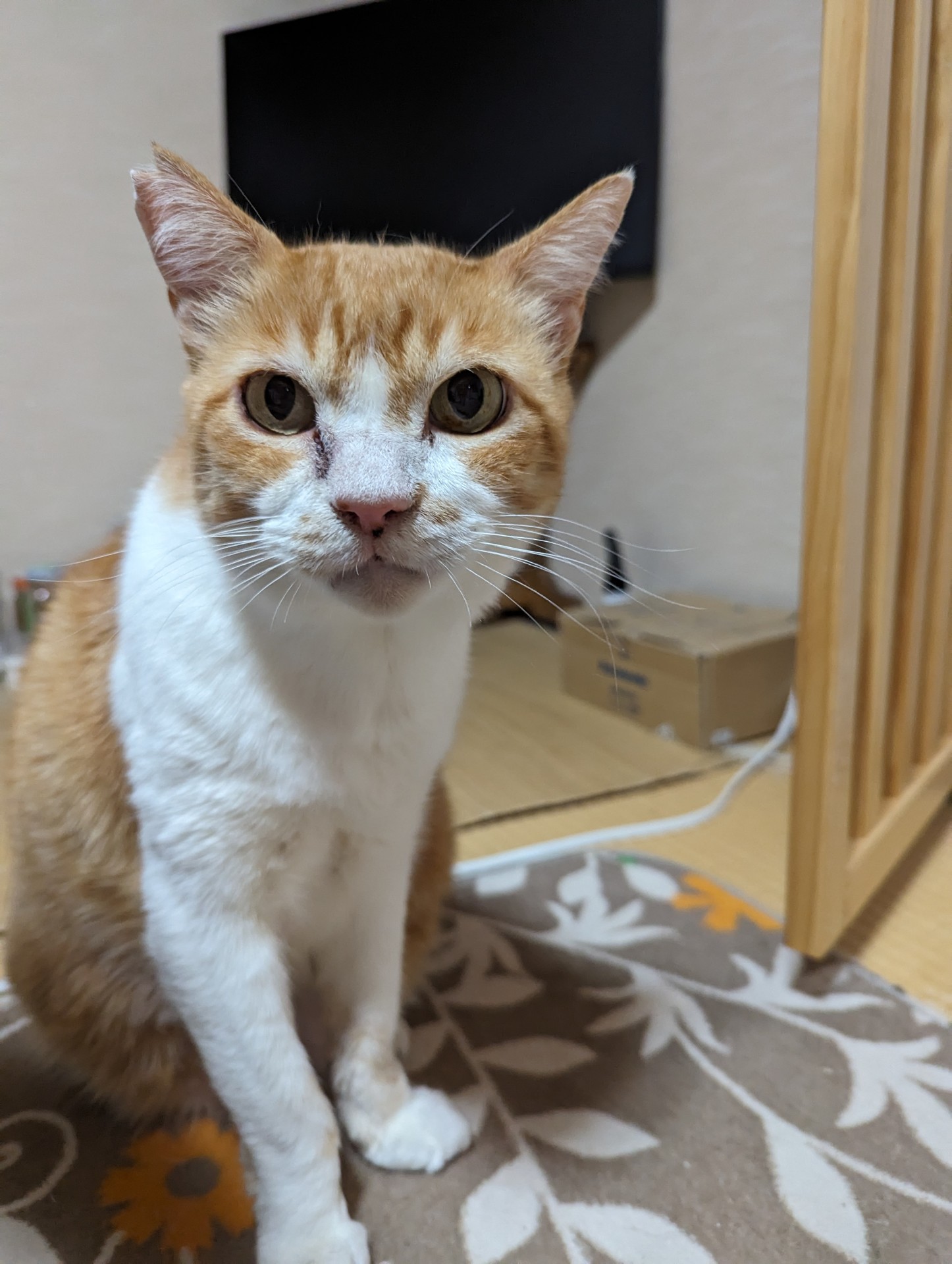 まだまだ長生きしてね！