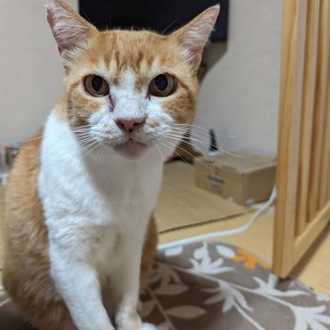 まだまだ長生きしてね！
