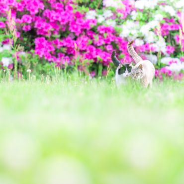 目が見えなくても。