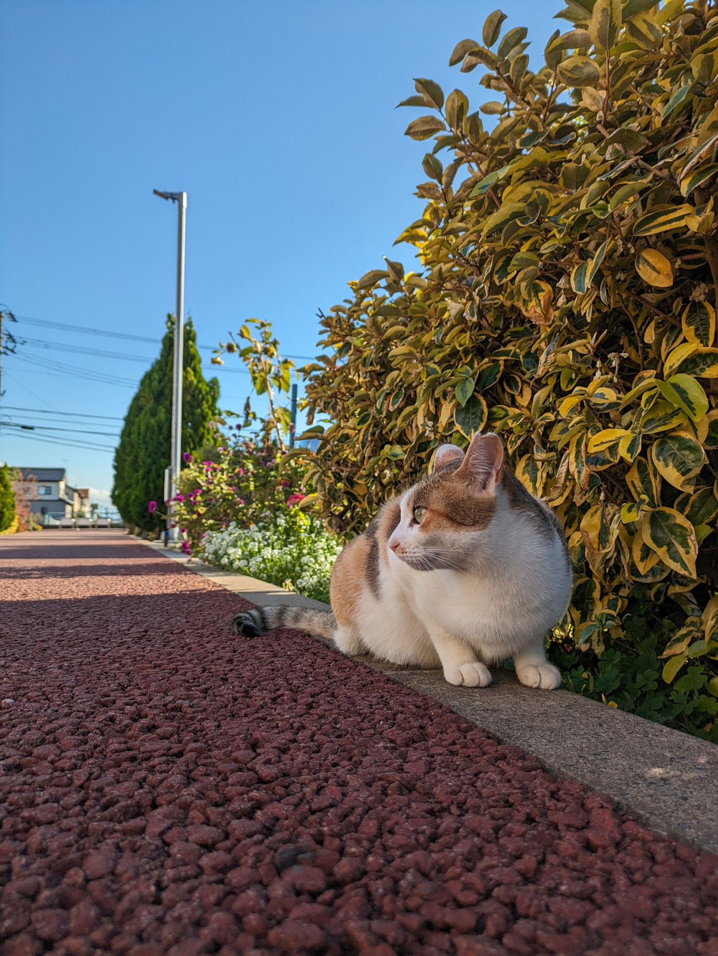 下涼み