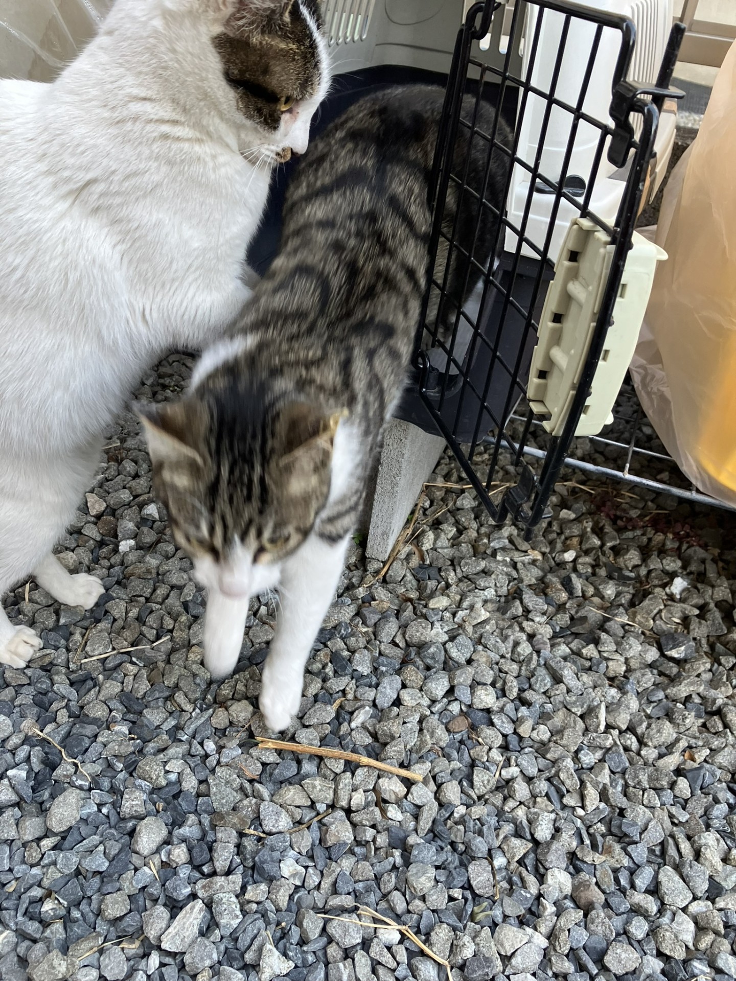 おかえり！