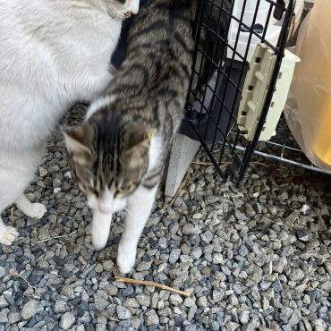 おかえり！