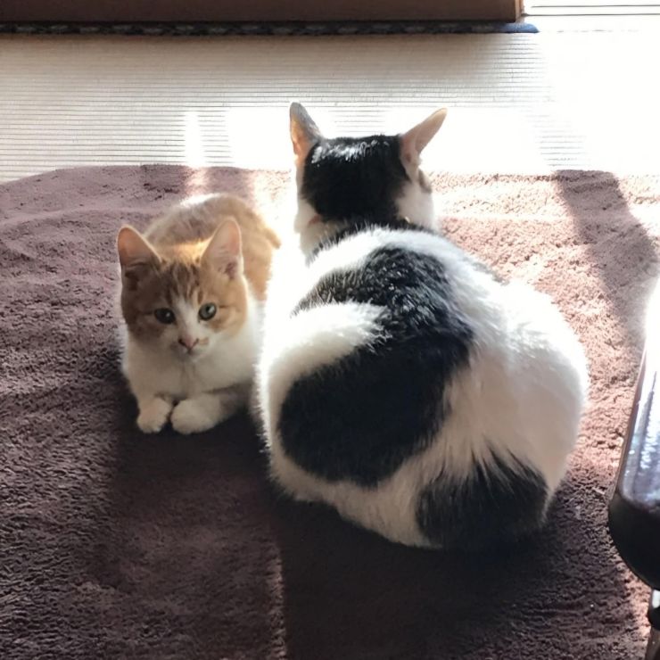 ママの側で