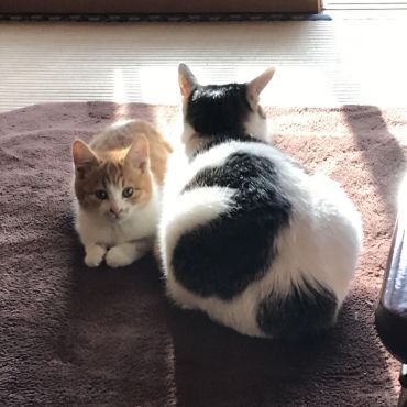 ママの側で