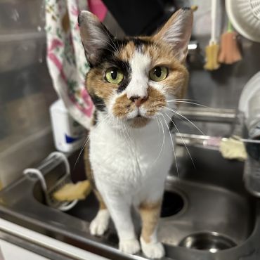 こう見えておばあちゃんだよ！
