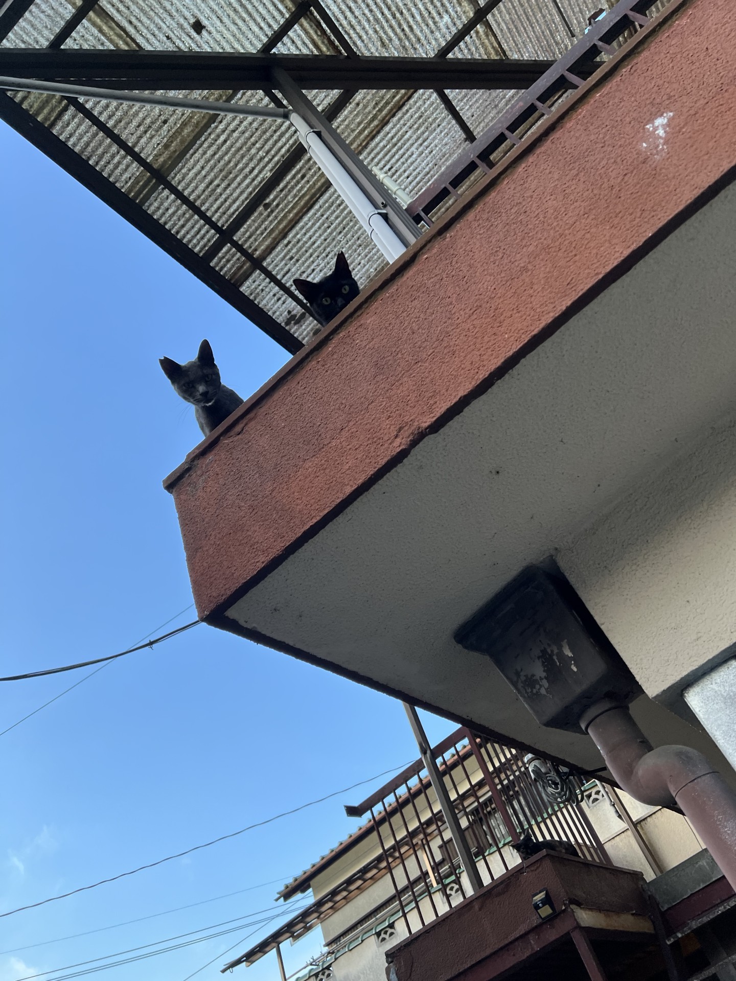 待ってたよー
