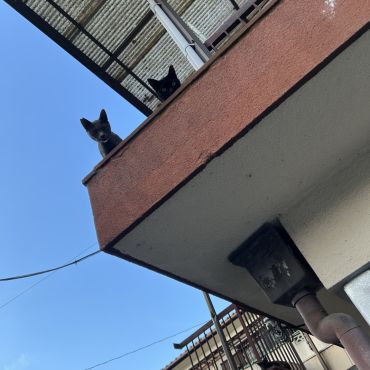 待ってたよー