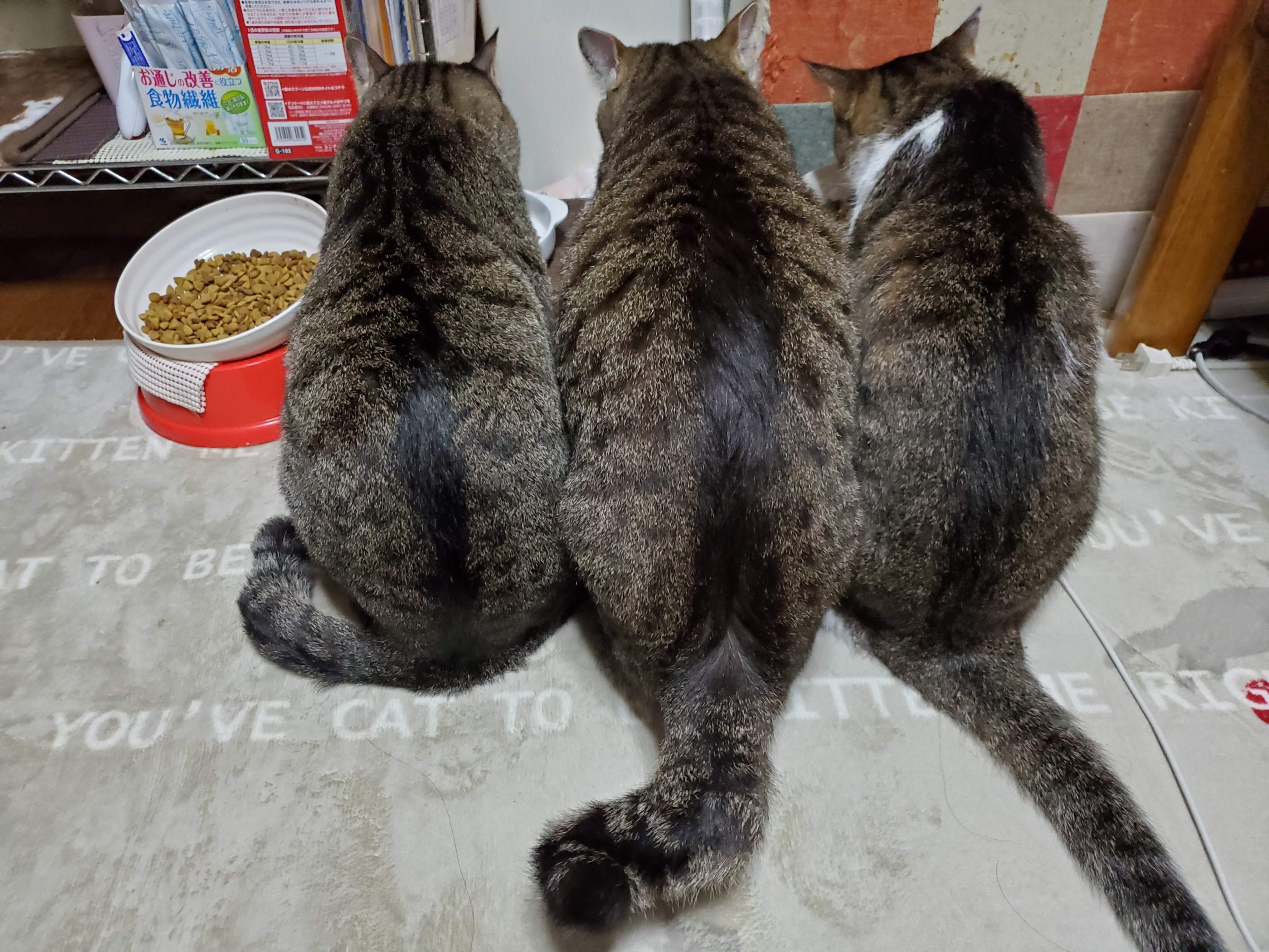 同じ柄、集まりがち？