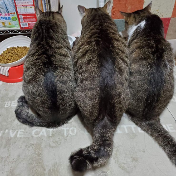 同じ柄、集まりがち？