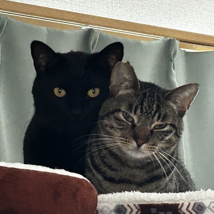 叱られて逃げた先😆