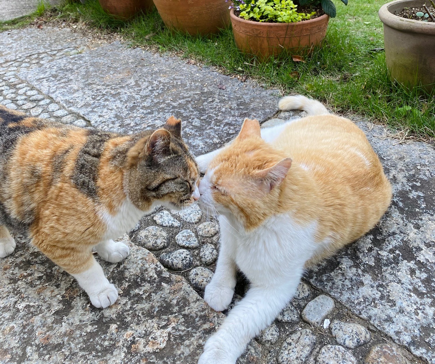 レジェンドとかわい子ちゃん♡