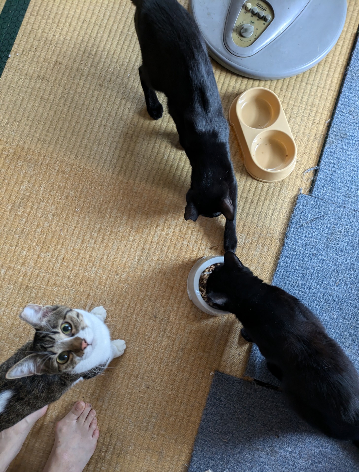 ここで仲良くなりました