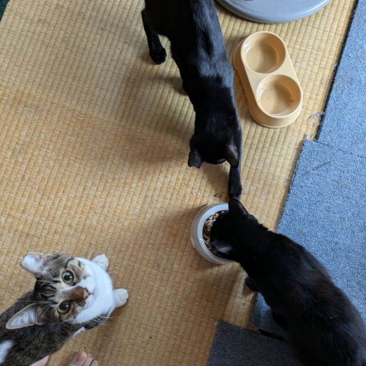 ここで仲良くなりました