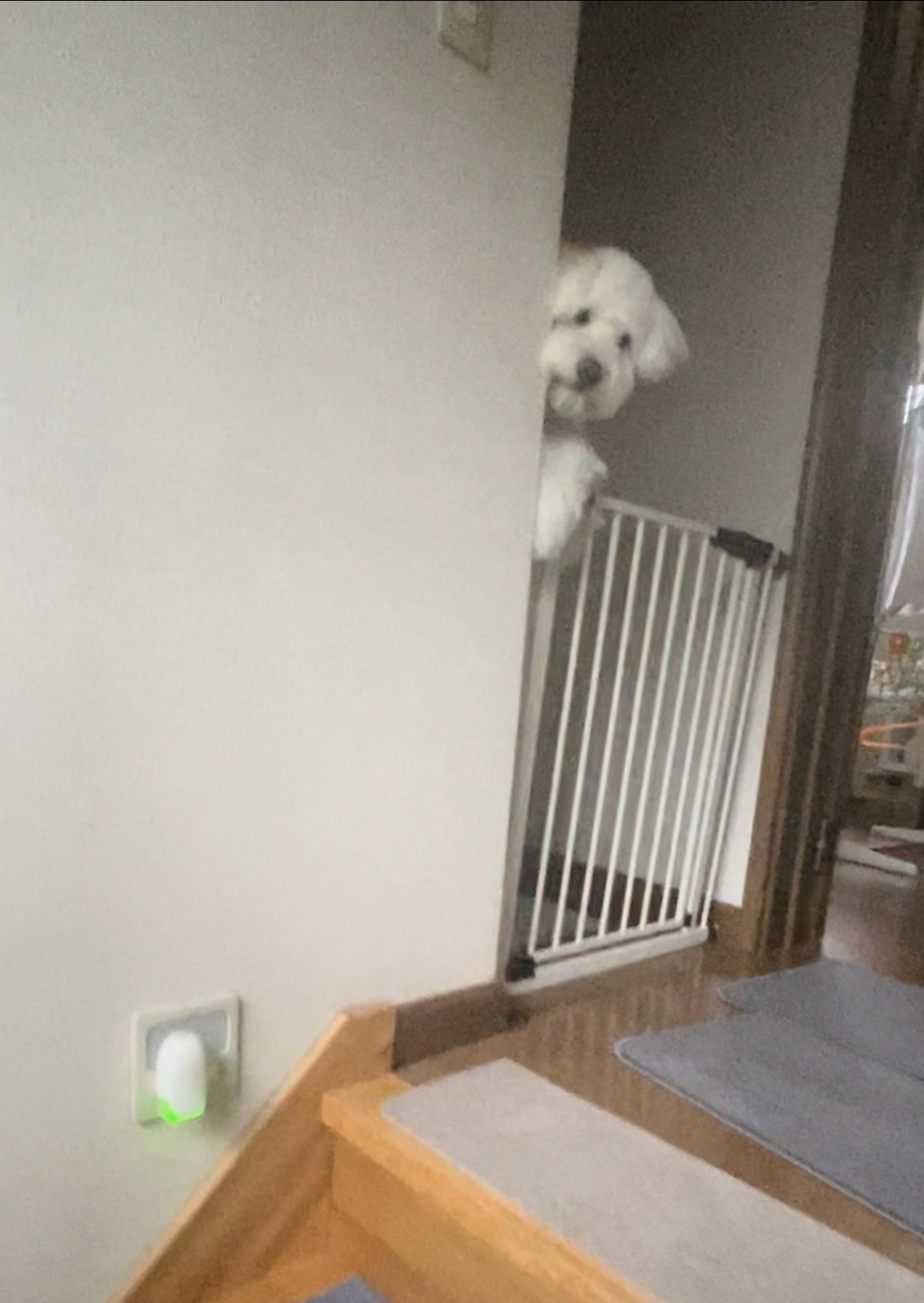 おかえり！