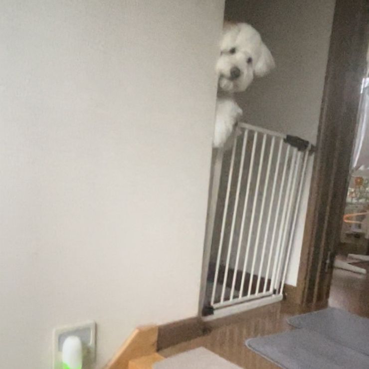おかえり！