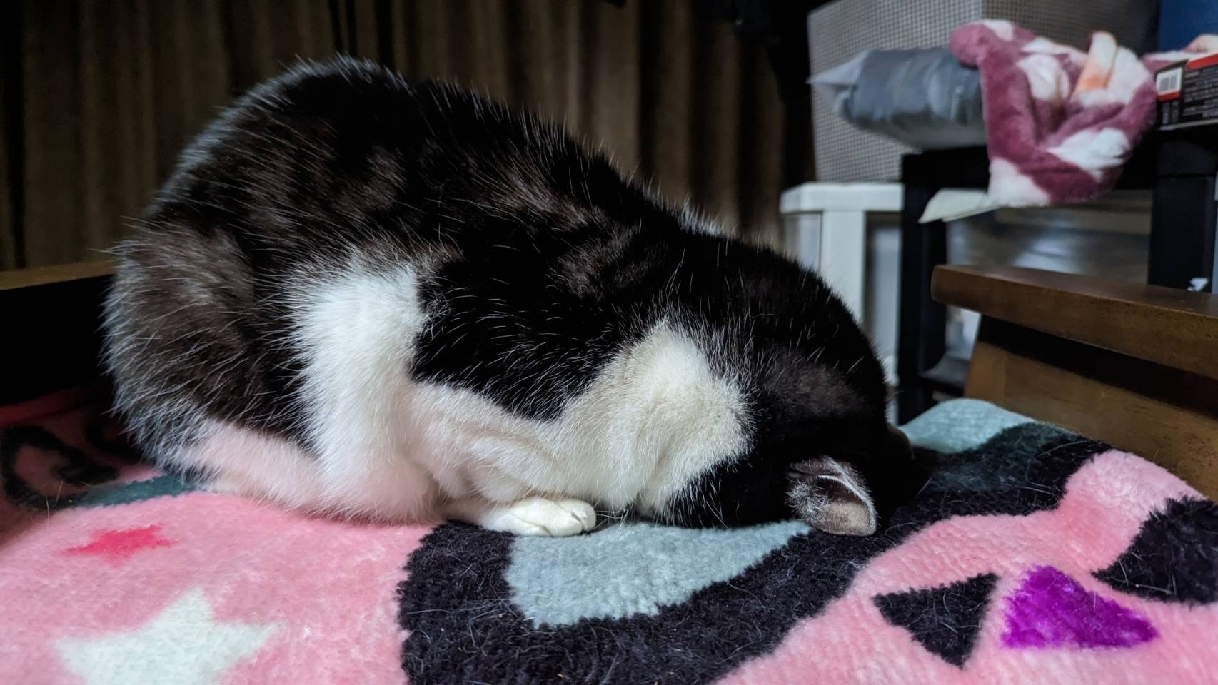 爆睡💤