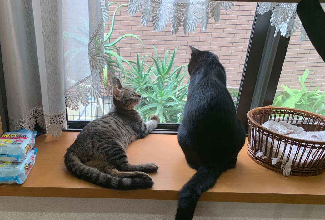 仲良くしてね