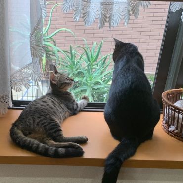 仲良くしてね