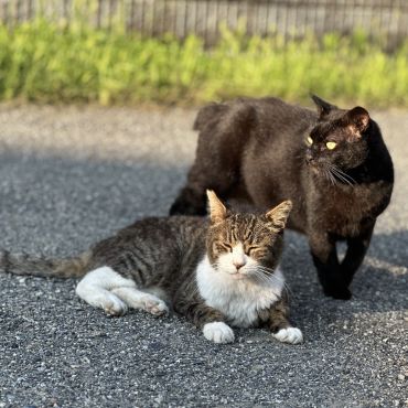 側にいたいの♡