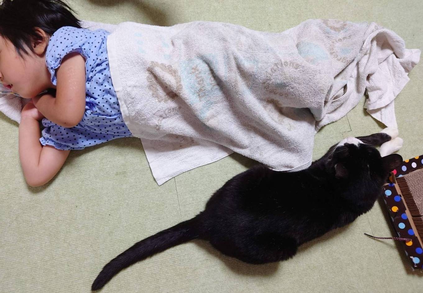 小さな歩幅。いつも一緒。