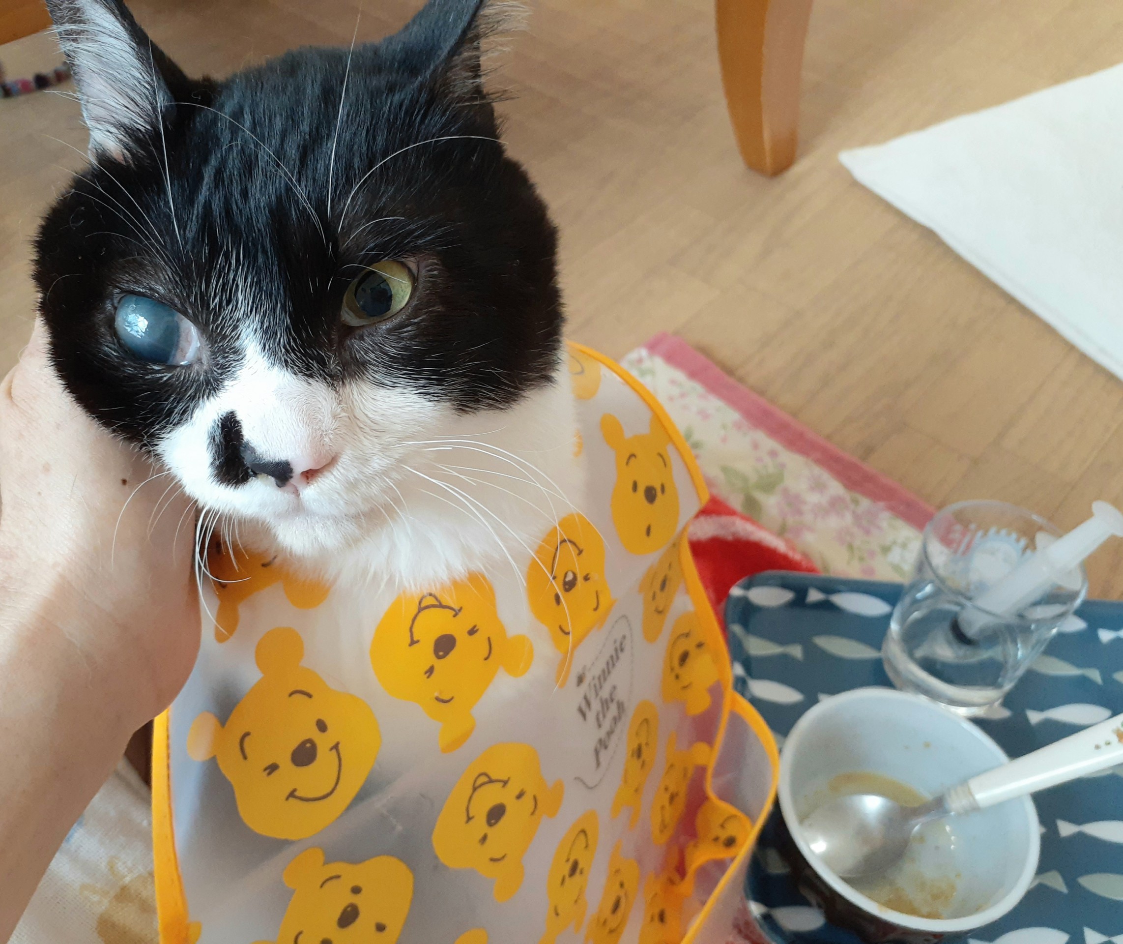 食べる楽しみ♡