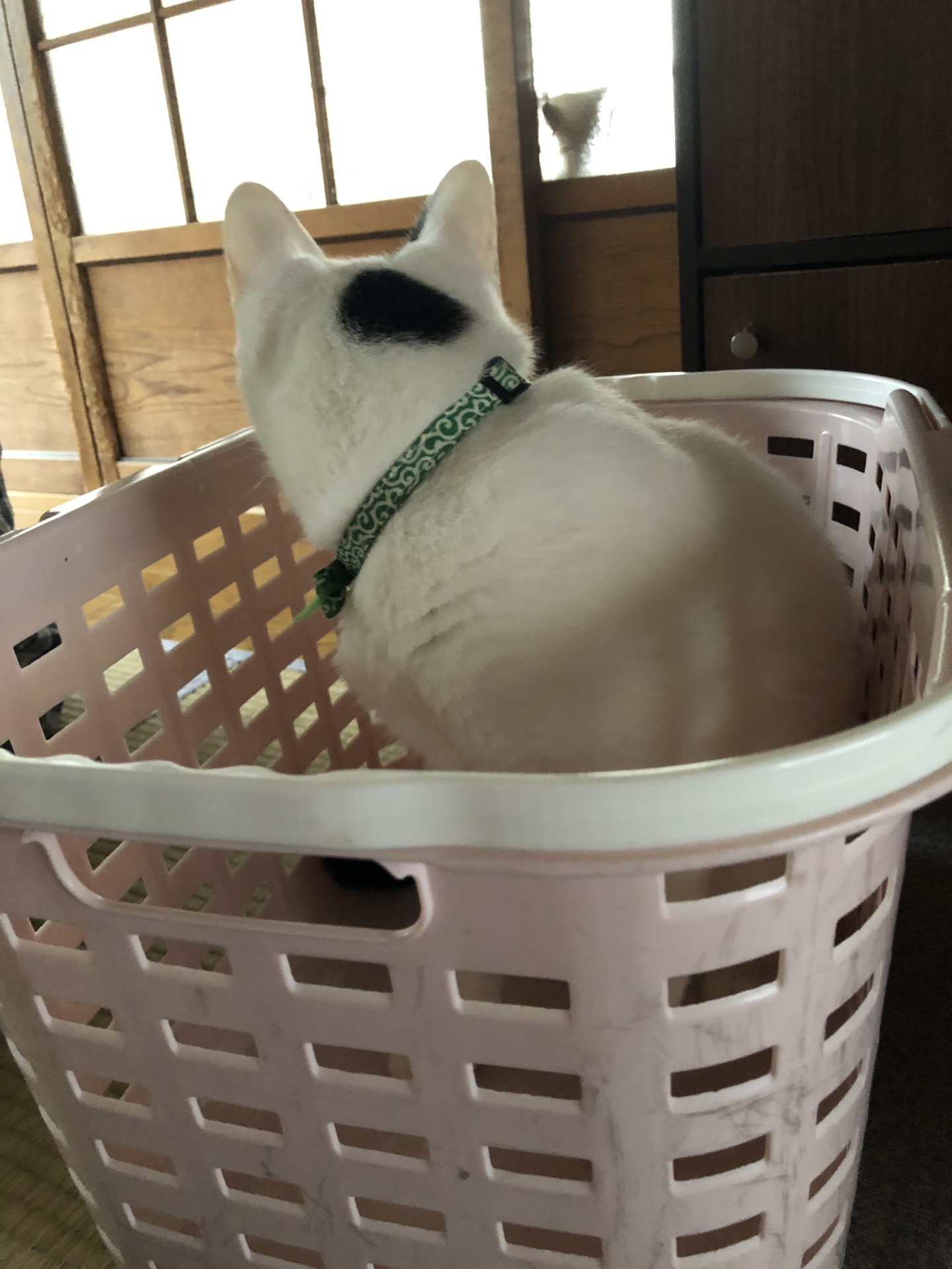 長男もまだまだ遊びたい
