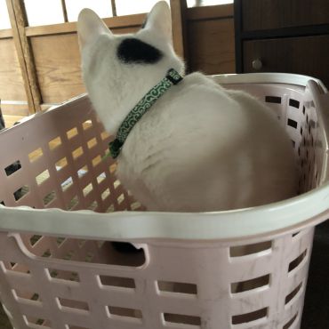 長男もまだまだ遊びたい
