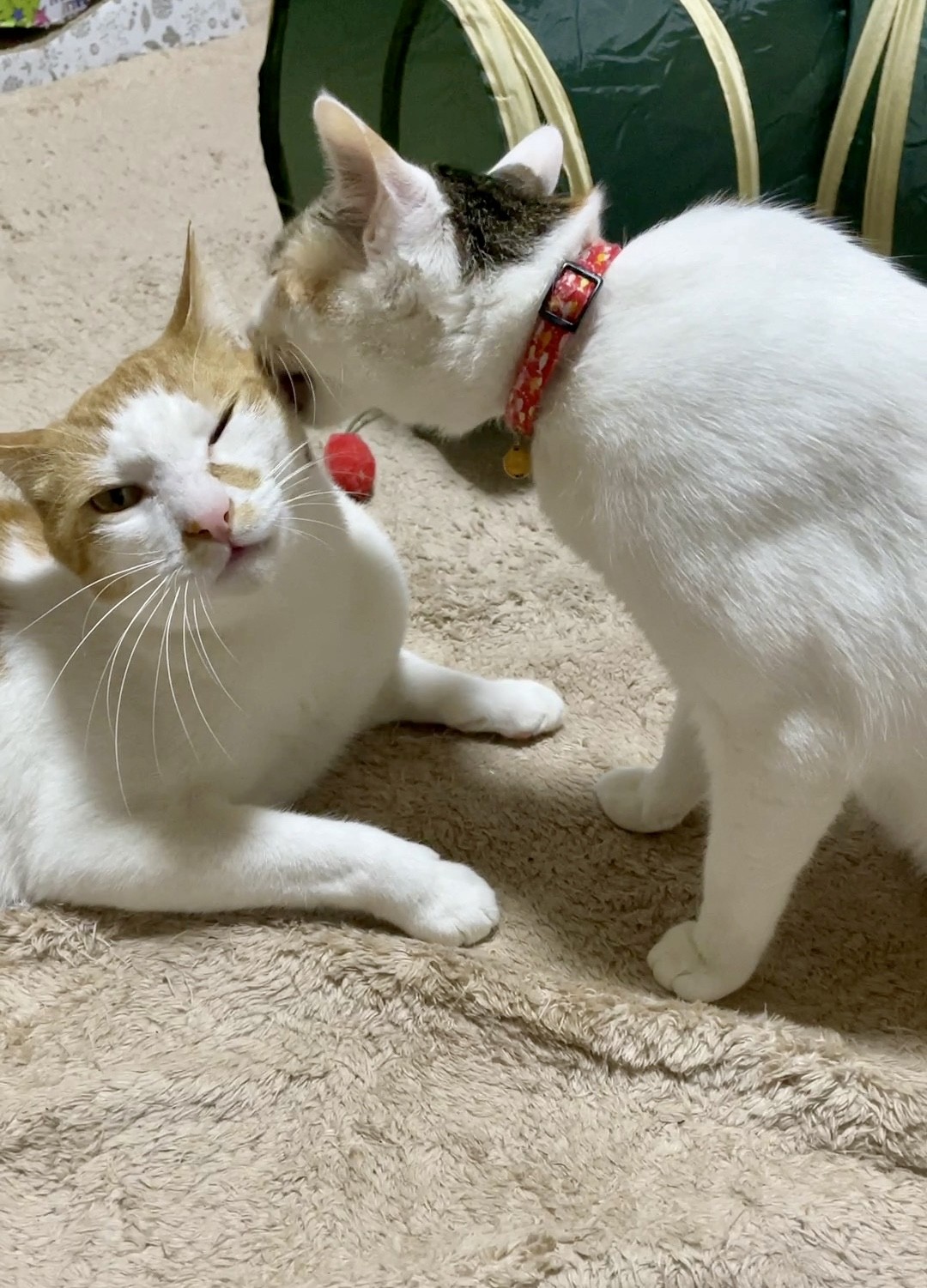 初めてのチュウ
