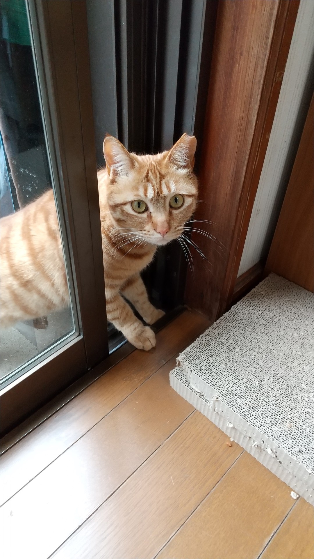 おはようございます。
