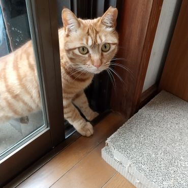 おはようございます。