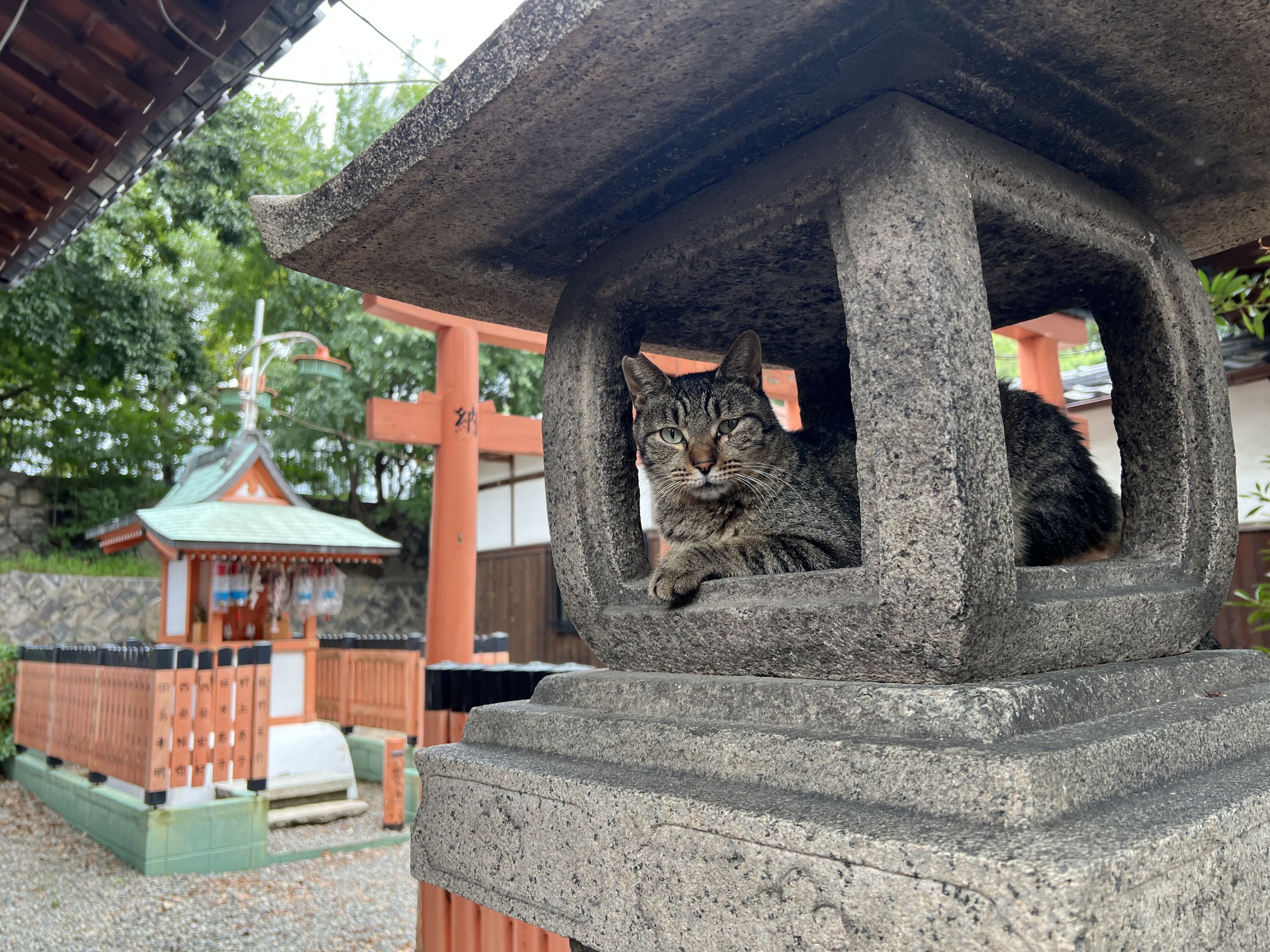 猫神様