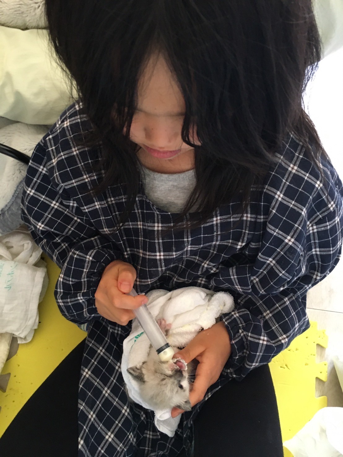 小さなママと小さな仔猫